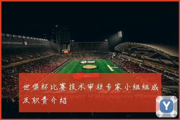 世俱杯比赛技术审核专家小组组成及职责介绍