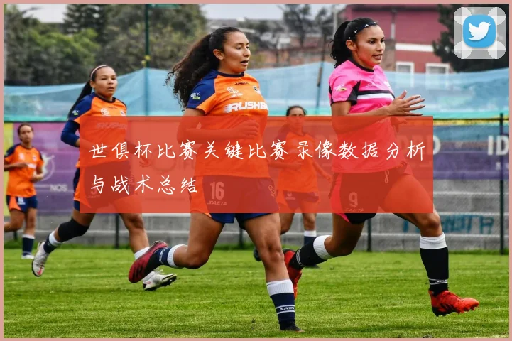 世俱杯比赛关键比赛录像数据分析与战术总结